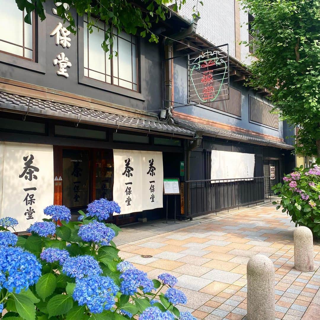 一保堂茶舗さんのインスタグラム写真 - (一保堂茶舗Instagram)「Hydrangeas are in bloom now.  紫陽花の季節ですね。  #ippodotea #ippodo #flowers #hydrangeas #kyoto」6月7日 23時54分 - ippodotea