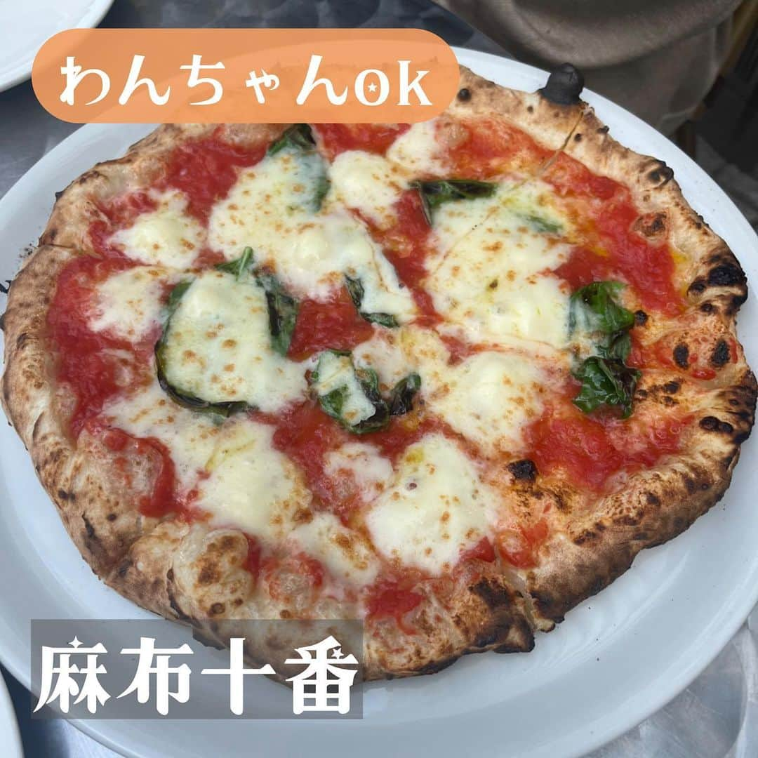 あろえグルメさんのインスタグラム写真 - (あろえグルメInstagram)「🌱 pizzastrada 📍麻布十番から徒歩3分 🐶テラス席ok 🌟食べログ3.60  犬と入れるところないかなぁって彷徨っててたまたま見つけたお店！！百名店だった🥺 ピザめっちゃおいしかったし、ミートボールがなんといっても美味しかった🥺❣️本物のミートボールを感じました！笑 ふらっといっただけだから、また今度改めて行きたいなー✨  #東京グルメ#東京ディナー#東京観光#東京カフェ#洋食#instagood#fff#lfl#インスタ映え #表参道カフェ#渋谷グルメ#東京カフェ巡り#焼肉#代官山グルメ#イタリアン #グルメスタグラム#三軒茶屋カフェ#吉祥寺カフェ#東京コース料理#神泉グルメ#銀座グルメ#食べログ #表参道グルメ#グルメ好きな人と繋がりたい#東京カフェランチ#麻布十番 #麻布十番グルメ #麻布十番ランチ #ピザランチ #食べログ百名店」6月8日 0時02分 - oishiisukisuki