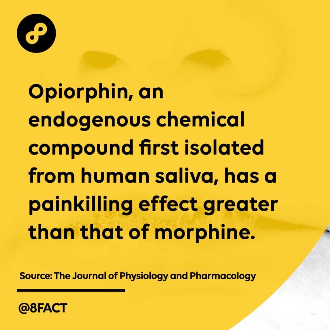 さんのインスタグラム写真 - (Instagram)「It works by stopping the normal breakup of enkephalins, natural pain-killing opioids in the spinal cord.」6月8日 0時25分 - 8fact