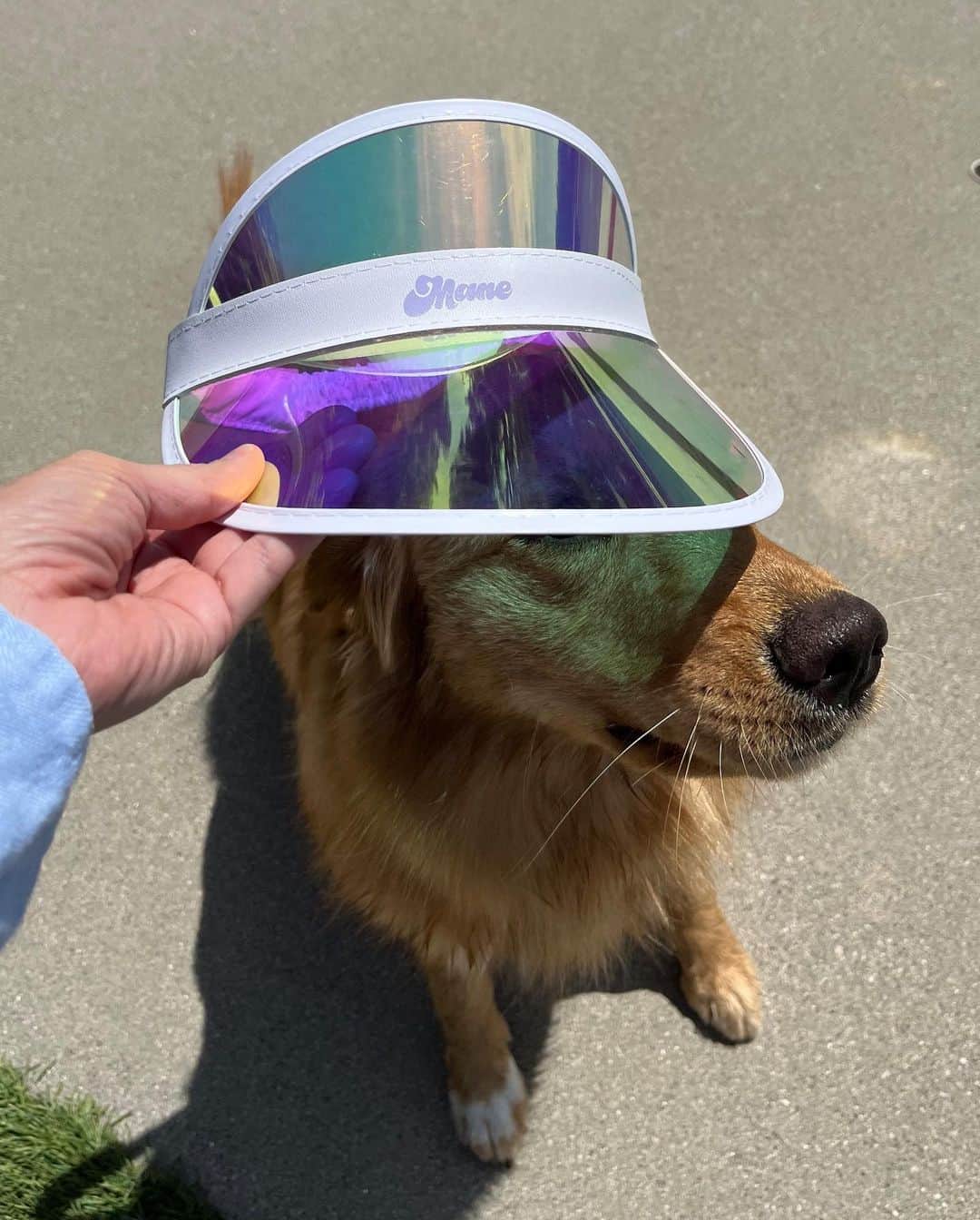 JEN ATKINさんのインスタグラム写真 - (JEN ATKINInstagram)「@mane_____ just dropped the accessory of the summer according to Birdie☀️ $5 of every Holographic Visor purchase will be donated to  @letsfcancer and the Melanoma Research Foundation to help their skin cancer detection and prevention efforts!! tap on the post to get yours🙏🏼」6月8日 0時52分 - jenatkinhair