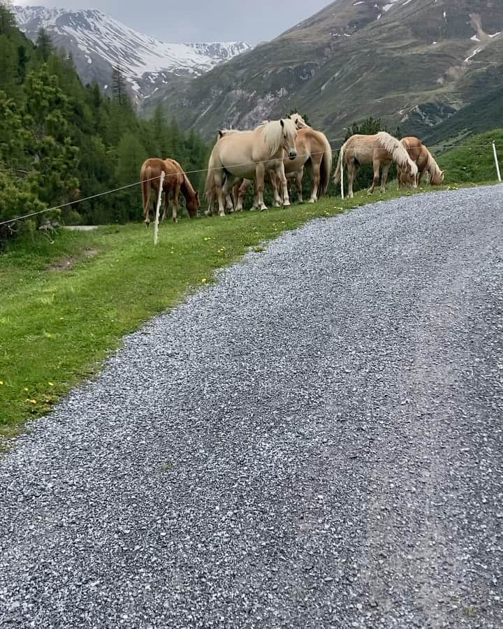 山本幸平のインスタグラム：「I met a lot of friends last ride in Livigno. #livigno #mtb  #ltaly @cycling__community」