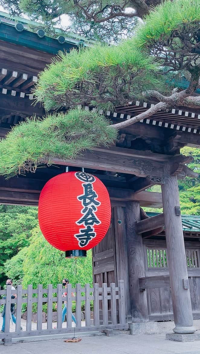 並木のり子のインスタグラム：「#鎌倉 #長谷寺」