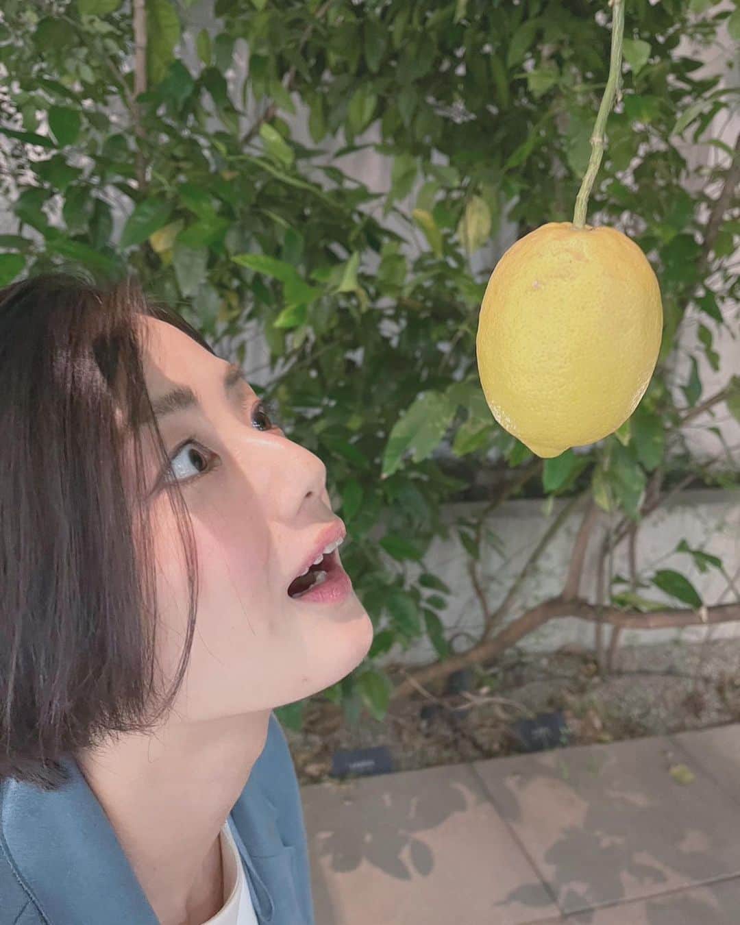片山萌美さんのインスタグラム写真 - (片山萌美Instagram)「🍋  禁断の果実なん？ 🍎🍋  （いや、まじでなんなんだ🫨？）   #moemikatayama  #靴下にぺろち」6月8日 1時55分 - moet_mi