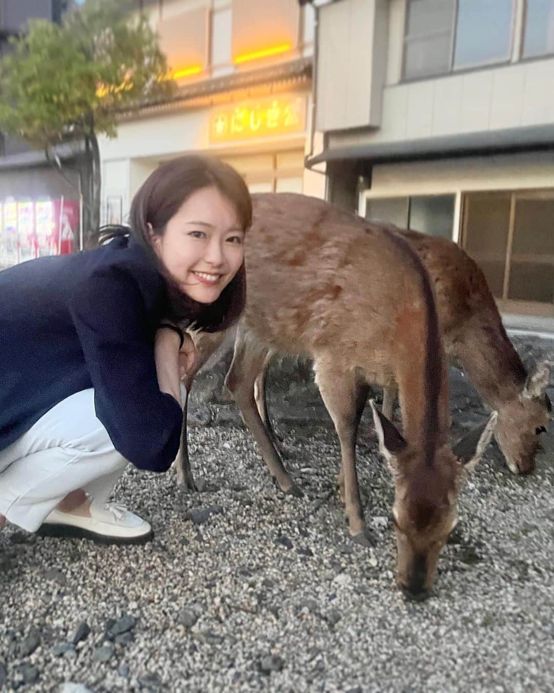 のインスタグラム：「広島県宮島で出会った  鹿さん。  人懐っこくて可愛かった...  全ての出会いを大切に。 全ての経験に感謝して。  悲しいニュースも多く、 胸が苦しくなることもありますが、 今目の前の伝えるべきことに、 真摯に向き合っていきたいです。  #投稿が #3週間ぶりになってしまった... #ごめんなさい  #下村彩里」