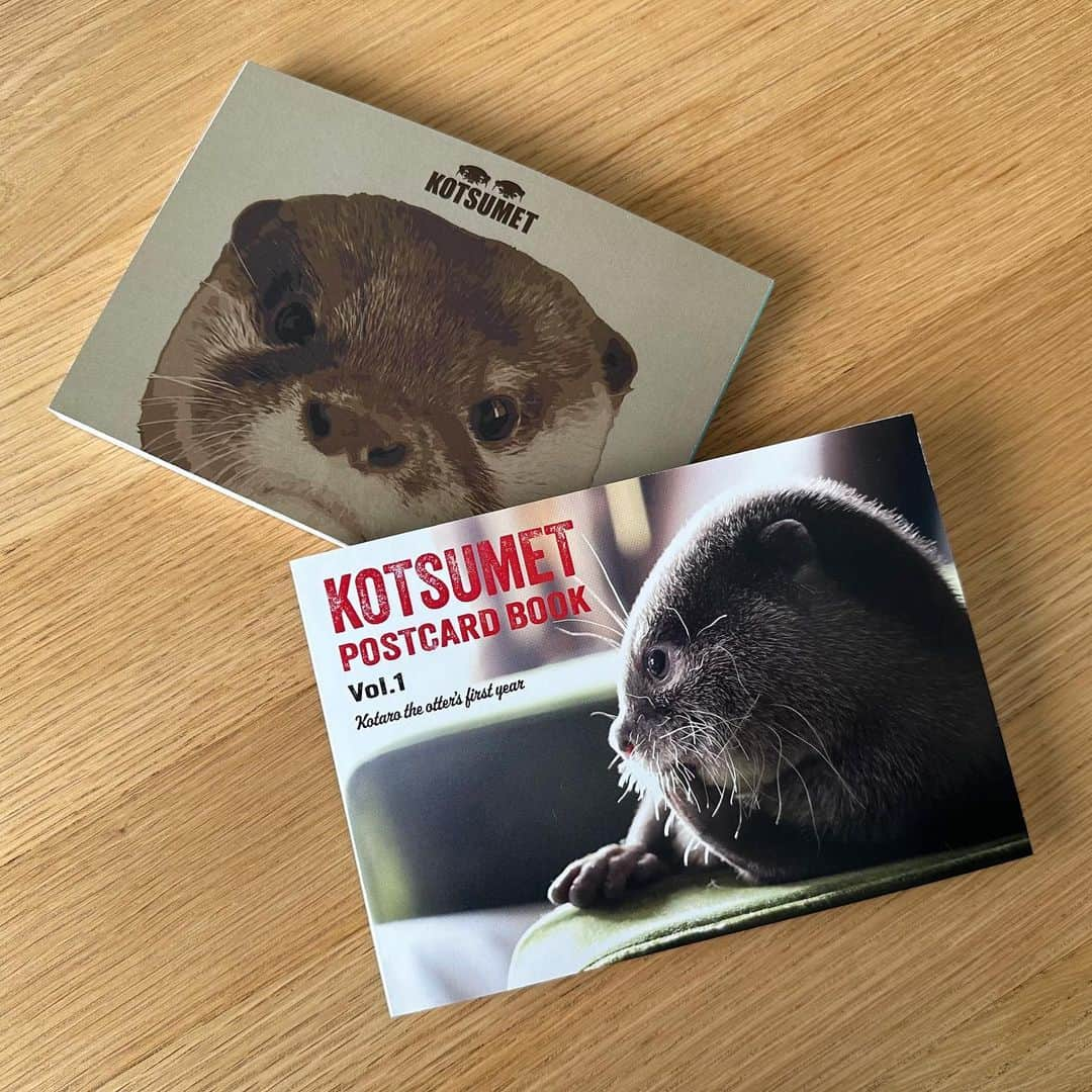 カワウソ コタロー&ハナのインスタグラム：「Otter Kotaro's Postcard Photo Book is now available! It includes 33 pictures capturing the first year of little Kotaro's life! International shipping available✈️ ベビコタ時代のキュートな写真がたっぷり入った大人気のミニフォトブック🍄🍄🍄 まだゲットしてない方はぜひ🤎 . .‬ ‪.‬ #カワウソ #コツメカワウソ #カワウソハナ #コタロー  #カワウソコタロー #otter #otters #baby #cute #小動物 #動物 #ペット #pet #かわいい #かわうそ #もふもふ #animal #수달  #귀여워 #photobook #loutre #lontra #lutra #выдра #นาก #petstagram #otterlove #kotarotheotter #otterkotaro」