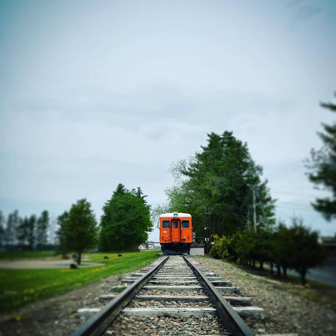 龍真咲さんのインスタグラム写真 - (龍真咲Instagram)「#幸福駅 🚃 行くだけで幸せになれる駅😊 愛の国から幸福へ。がキャッチフレーズなのだそう⤴︎ にしても、、北海道のタンポポはむちゃ大きかった！！！  みんな大好き @rokkatei.official 喫茶室🫖昔ながらのビーフシチューとふぁっふぁのパンケーキ美味しかったー ここでもはんぶんこ バターサンドのタオルは即買い😆 いつもなら箱入りでしか買えないおやつ達がバラで売ってて嬉しくなってしまいました🥮  しかし北海道ってほんと広いなー 運転しても運転しても着かない💦けど、高速以外の道はグリーンが素晴らしく見てて飽きない景色🌳ゆっくりのんびりドライブもたまには良いものです😊  #母娘旅 #はんぶんこ  #幸福駅  #六花亭  #ふぁっふぁ 🤤 #美味しいずくし」6月8日 13時42分 - masaki_ryu