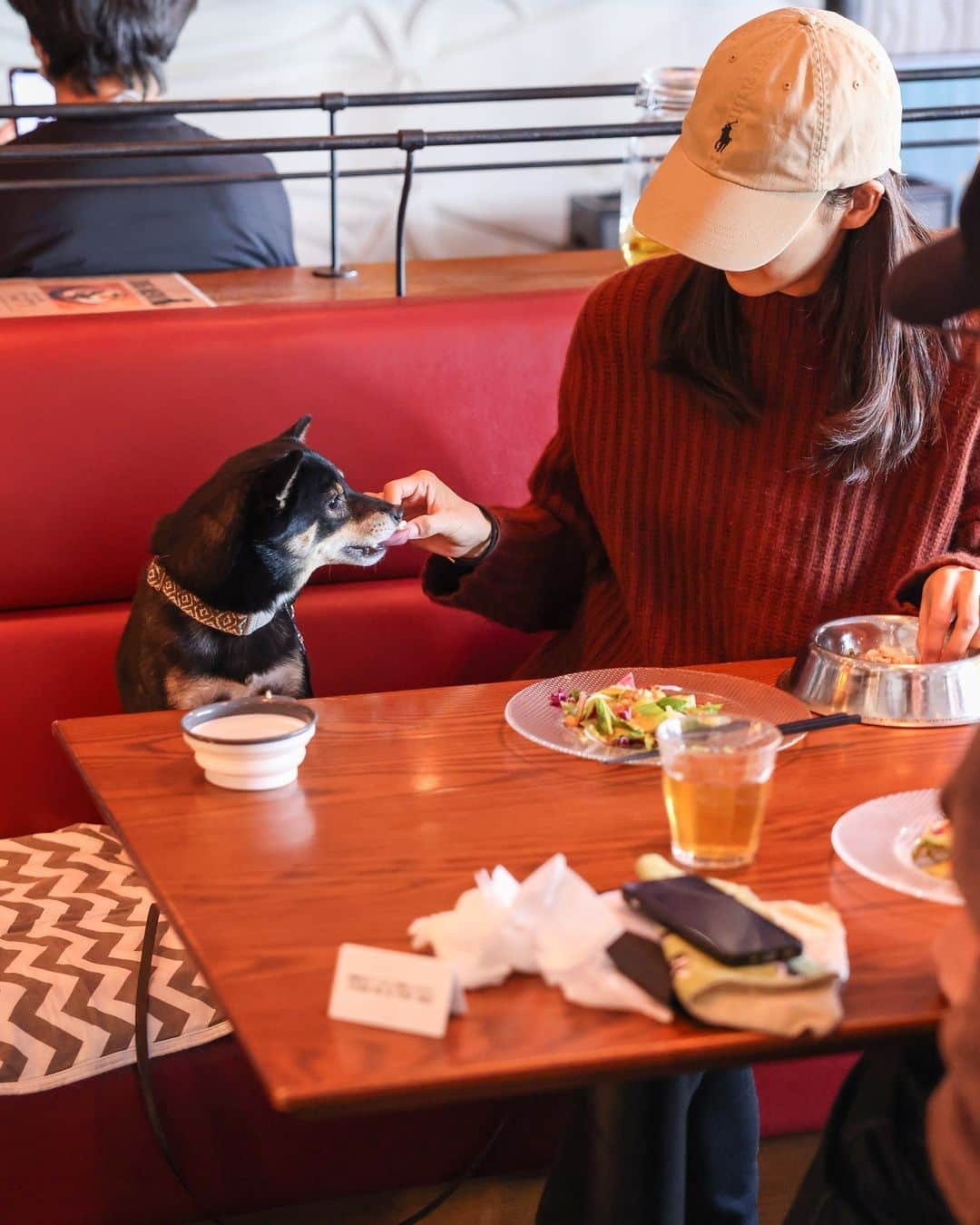 モンスーンカフェさんのインスタグラム写真 - (モンスーンカフェInstagram)「🐕️⁠Dogs love our Dog Menu! 🐶⁠ ぜひ、ワンちゃんと一緒にいらしてください☆テラス席のある店舗は解放感もあってワンちゃんにも喜んでいただけると思います！また、モンスーンカフェのDog Menuおすすめです！⁠ ※ペット同伴OK店舗（テラス席）：⁠ @monsooncafe_daikanyama⁠ @monsooncafe_omotesando⁠ @monsoon__saitamashintoshin⁠ ⁠ —⁠ #globaldining #モンスーンカフェ #グローバルダイニング #tokyodogs #ペットOKレストラン #ペットOKカフェ⁠ #ワンちゃん #ペット可 #犬と入れるカフェ #わんちゃん店内ok ＃ #テラスカフェ #テラス席ペットOK⁠」6月8日 5時55分 - monsooncafe_gd