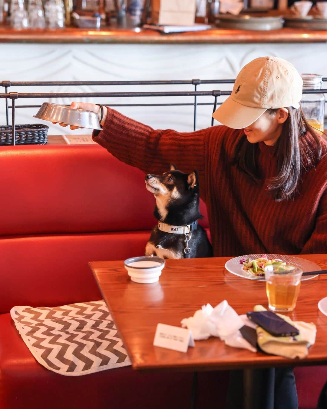 モンスーンカフェのインスタグラム：「🐕️⁠Dogs love our Dog Menu! 🐶⁠ ぜひ、ワンちゃんと一緒にいらしてください☆テラス席のある店舗は解放感もあってワンちゃんにも喜んでいただけると思います！また、モンスーンカフェのDog Menuおすすめです！⁠ ※ペット同伴OK店舗（テラス席）：⁠ @monsooncafe_daikanyama⁠ @monsooncafe_omotesando⁠ @monsoon__saitamashintoshin⁠ ⁠ —⁠ #globaldining #モンスーンカフェ #グローバルダイニング #tokyodogs #ペットOKレストラン #ペットOKカフェ⁠ #ワンちゃん #ペット可 #犬と入れるカフェ #わんちゃん店内ok ＃ #テラスカフェ #テラス席ペットOK⁠」