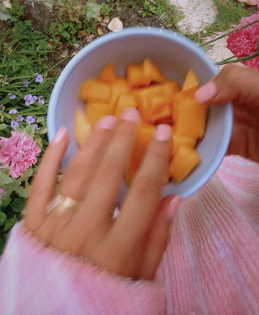 Amber Fillerup Clarkのインスタグラム：「When I nannied in France they had cantaloupe with dinner every night .. it is a very underrated fruit?! Bringing it back into my life. 🧡」