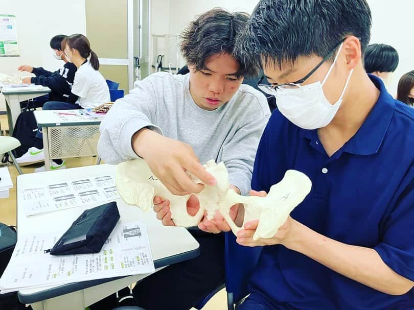 [公式]大阪ハイテクノロジー専門学校さんのインスタグラム写真 - ([公式]大阪ハイテクノロジー専門学校Instagram)「✨骨盤✨  骨学の講義も順調に進んで、今日は骨盤の骨を覚えています。 学生いわく、ハートらしいです♡♡♡ 骨模型を触りながらなので覚えやすい！ しっかりと覚えていきましょうね👍  osaka-hightech.ac.jp/course/jt-spor…  #大阪ハイテク #柔道整復スポーツ学科 #骨 #骨盤 #ハート型 #専門学校 #新大阪駅 #徒歩5分」6月8日 7時46分 - osakahightech