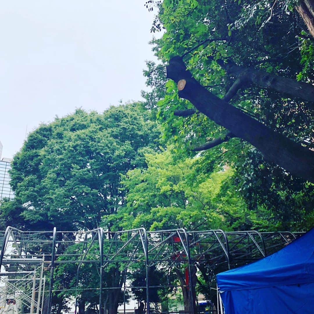 松田洋治のインスタグラム：「一昨日から花園神社立て込み作業。午前中　花園で作業、午後　移動してTHEATER MILANO-Za版の稽古、夕方　花園に戻って作業。 なかなかですよ。 ご心配なく。ちゃんと寝てます。それ以外なんにも出来ませんが。  新宿梁山泊第74回公演  少女都市からの呼び声＠花園神社紫テント  作：唐十郎　演出：金守珍  出演：  金守珍 /風間杜夫/六平直政 /大鶴義丹 /水嶋カンナ/松田洋治/藤田佳昭/奥山ばらば/ 宮澤寿/山口拳生/柴野航輝/佐藤水香/若林美保 /紅日毬子/染谷知里/諸治蘭/ 本間美彩/河西茉祐/山田のぞみ/荒澤守/芳田遥/松本薫  ＜公演日・開演時間＞ 6月11日(日) 19:30 6月12日(月) 19:30 6月13日(火) 19:30 6月14日(水) 19:30 6月16日(金) 19:30 6月17日(土) 19:30 6月18日(日) 19:30 6月19日(月) 19:30 6月20日(火) 19:30 6月21日(水) 19:30 6月23日(金) 19:30 6月24日(土) 19:30 6月25日(日) 19:30 6月26日(月) 19:30  ※開場は、開演の30分前です。  チケットご予約 公式：http://s-ryozanpaku.com/」