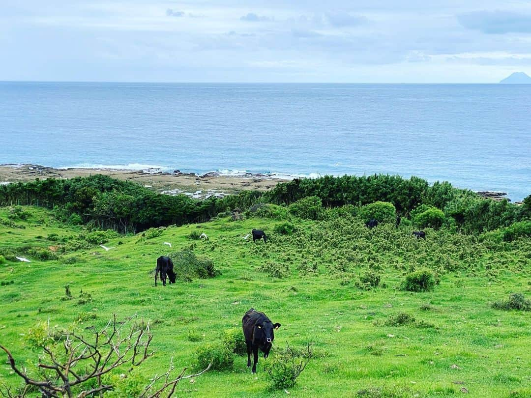 三谷晶子のインスタグラム：「海外みたいな島、宝島。  #宝島」