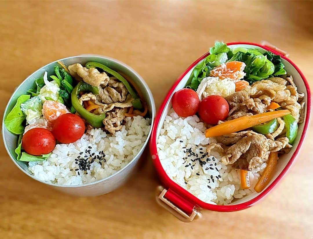 金子貴俊のインスタグラム：「最近、朝早くに目が覚めてしまう💦 なのでお弁当を作ってみました。 とは言っても、ポテトサラダとほうれん草はできていたので、炒め物を作っただけ💦 今日は彩り良くできたかな✨  #パパ弁当#お弁当」
