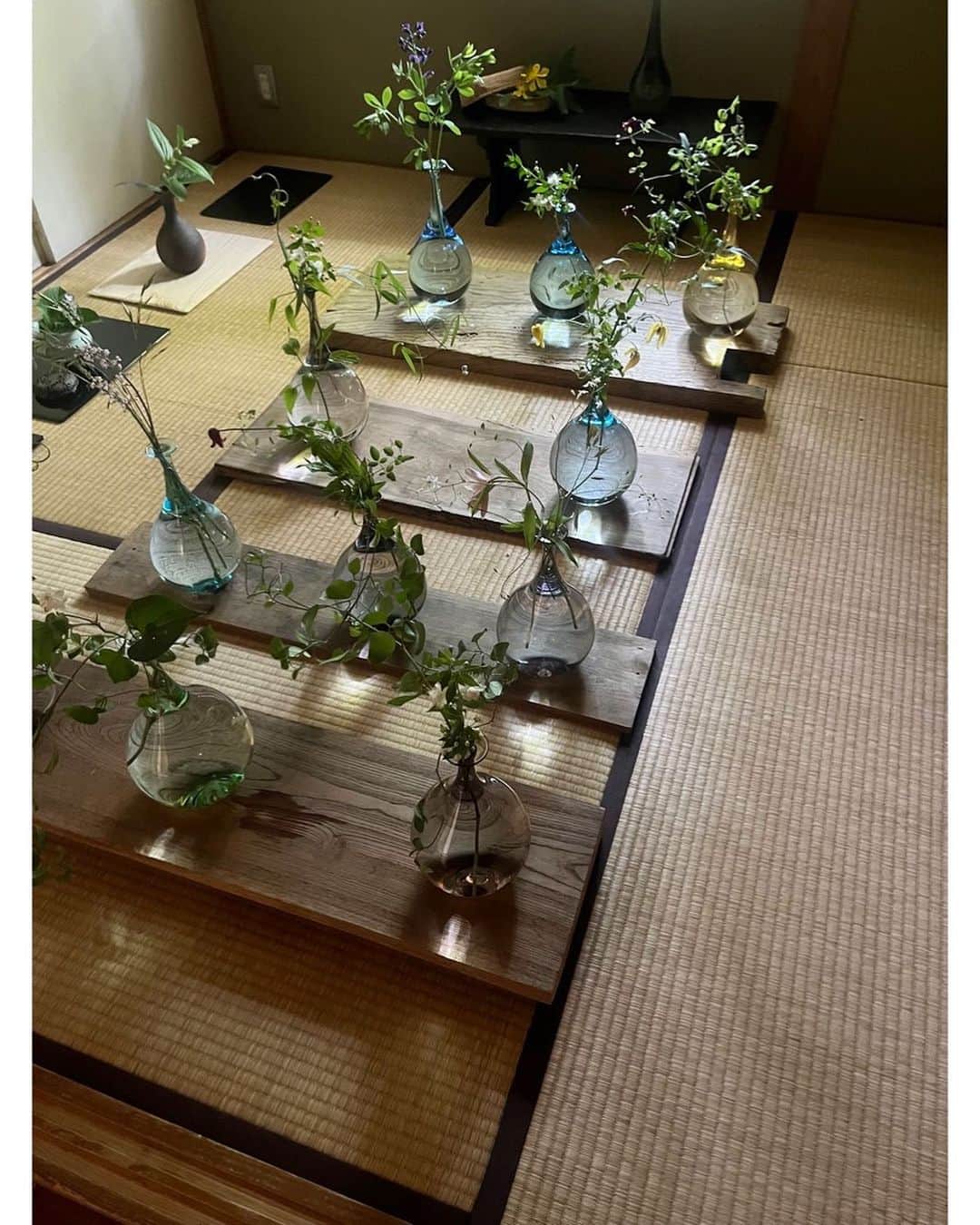 のインスタグラム：「cocco ✖️the little shop of flowers  今年も"涼花"の会  一年が巡りまたより捉え方も感じ方も尊さもましたような時間。 ありがたき  #涼花 #cocco #thelittleshopflowers」