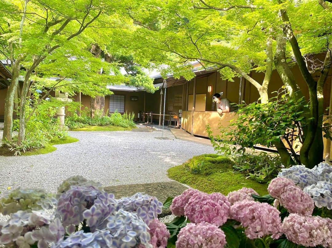 依田司さんのインスタグラム写真 - (依田司Instagram)「6月8日（木） 国指定の重要文化財、神奈川県鎌倉市「一条恵観山荘」から。 江戸初期に京都に建てられたものを、昭和３４年、ここ鎌倉に移築しました。茅葺き屋根の田舎風の作りが特徴で、およそ370年前に、この山荘でお茶会が行われた記録が残る貴重な建物です。 自然豊かなコチラ、見上げれば紅葉の深緑、目の前には見頃を迎えたアジサイ、脇を流れる川のせせらぎが心地良いんです。 喫茶では、お庭を眺めながらスイーツが楽しめます。季節限定の「あじさいじゅうすと主菓子(おもがし)セット」がお勧め。 ゆったりとした静かな時間が過ごせますよ。  #一条恵観山荘 #GAP #ギャップ #依田さん #依田司 #お天気検定 #テレビ朝日 #グッドモーニング #気象予報士 #お天気キャスター #森林インストラクター #グリーンセイバーアドバンス #プロジェクトワイルド #IPCC伝導者 #japan #japantrip #japantravel #unknownjapan #japanAdventure #japanlife #lifeinjapan #instagramjapan #instajapan #療癒 #ilovejapan #weather #weathercaster #weatherforecast」6月8日 9時26分 - tsukasa_yoda
