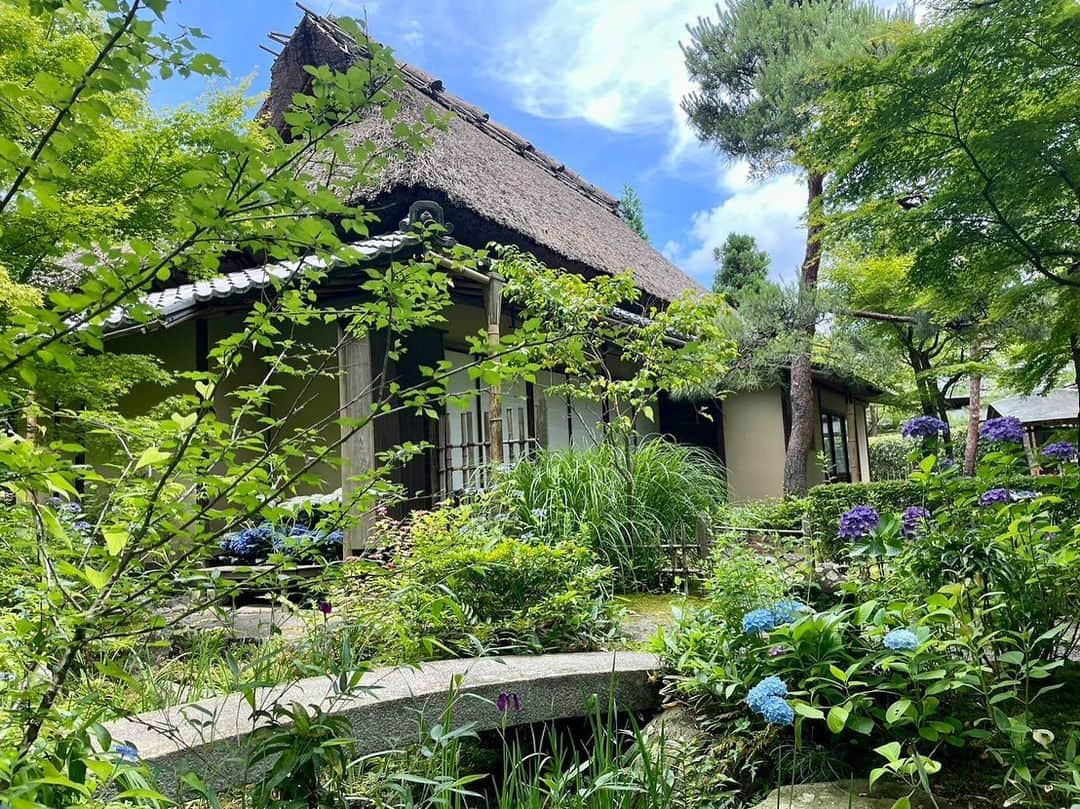 依田司さんのインスタグラム写真 - (依田司Instagram)「6月8日（木） 国指定の重要文化財、神奈川県鎌倉市「一条恵観山荘」から。 江戸初期に京都に建てられたものを、昭和３４年、ここ鎌倉に移築しました。茅葺き屋根の田舎風の作りが特徴で、およそ370年前に、この山荘でお茶会が行われた記録が残る貴重な建物です。 自然豊かなコチラ、見上げれば紅葉の深緑、目の前には見頃を迎えたアジサイ、脇を流れる川のせせらぎが心地良いんです。 喫茶では、お庭を眺めながらスイーツが楽しめます。季節限定の「あじさいじゅうすと主菓子(おもがし)セット」がお勧め。 ゆったりとした静かな時間が過ごせますよ。  #一条恵観山荘 #GAP #ギャップ #依田さん #依田司 #お天気検定 #テレビ朝日 #グッドモーニング #気象予報士 #お天気キャスター #森林インストラクター #グリーンセイバーアドバンス #プロジェクトワイルド #IPCC伝導者 #japan #japantrip #japantravel #unknownjapan #japanAdventure #japanlife #lifeinjapan #instagramjapan #instajapan #療癒 #ilovejapan #weather #weathercaster #weatherforecast」6月8日 9時26分 - tsukasa_yoda