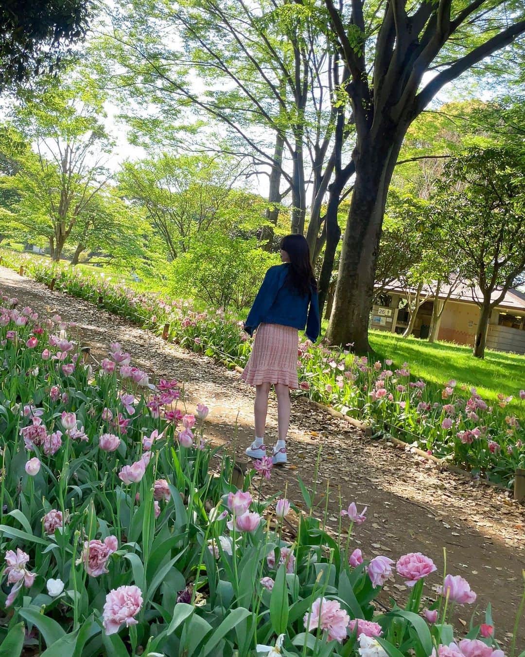 薄井美樹のインスタグラム：「． おはよう☀️☀️」