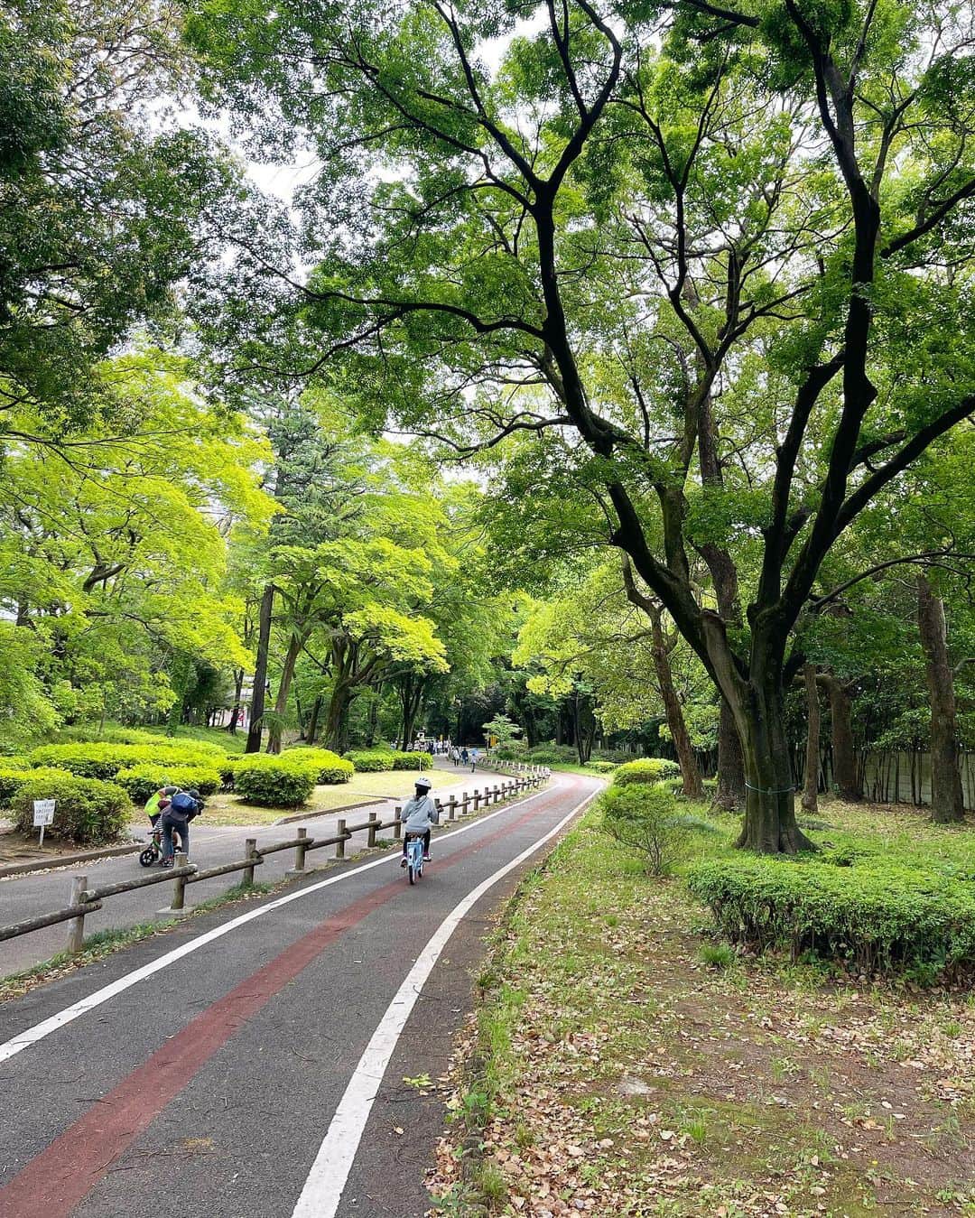 中村明花さんのインスタグラム写真 - (中村明花Instagram)「. 娘に『何処行きたい？何したい？』と聞くと、 『自転車乗りたい！』というので、サイクリングロードのある #群馬の森 へ。 自然豊かでとっても広い公園です🌿 . 何処をみても緑。ゆったり空間でなんだか海外の公園をお散歩しているような懐かしさを思い出しました☺️ . 私も自転車乗るのは好きだけど、なかなか乗る機会がないから、今度レンタル自転車して娘と何処かでかけてみようかな🚲 . . #群馬生活 #群馬遊び」6月8日 9時37分 - sayaka_nakamura3