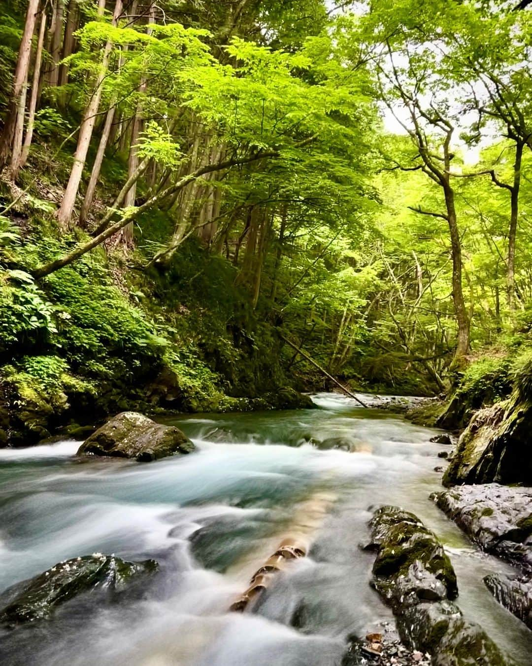 豊大槻さんのインスタグラム写真 - (豊大槻Instagram)「撮影: iPhone ・ ・ 長野県辰野町の横川の蛇石。 確かに、上から見ると川の中に大蛇がいるように見えます〜 ・ ・ とっても空気は綺麗で 癒される空間... ・ ・ 辰野町でここは大好きな場所のひとつです♪ __________  #辰野町  #蛇石  #自然  #風景  #癒し  #川  #映像クリエーター  #風景写真  #映像制作  #カメラマン  #river  #photographer  #healing  #nature  #view  #landscape  #moviecreator  #cameraman  #snakestone  #photo  #photography」6月8日 9時59分 - yutakachi