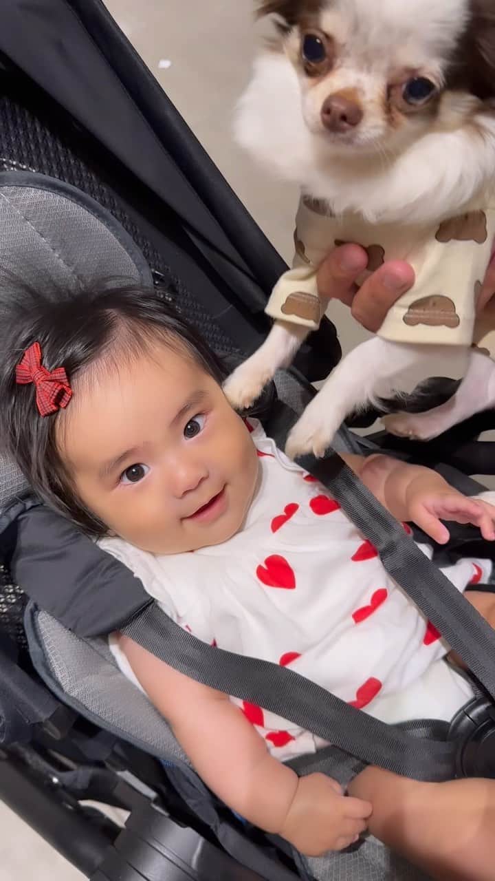 Akaneのインスタグラム：「1歳11ヶ月🐶と4ヶ月👶🏻🌼 よく声を出して笑うのが可愛い♡ . . #赤ちゃんと犬#女の子ママ #4ヶ月ベビー#いぬのいる暮らし」