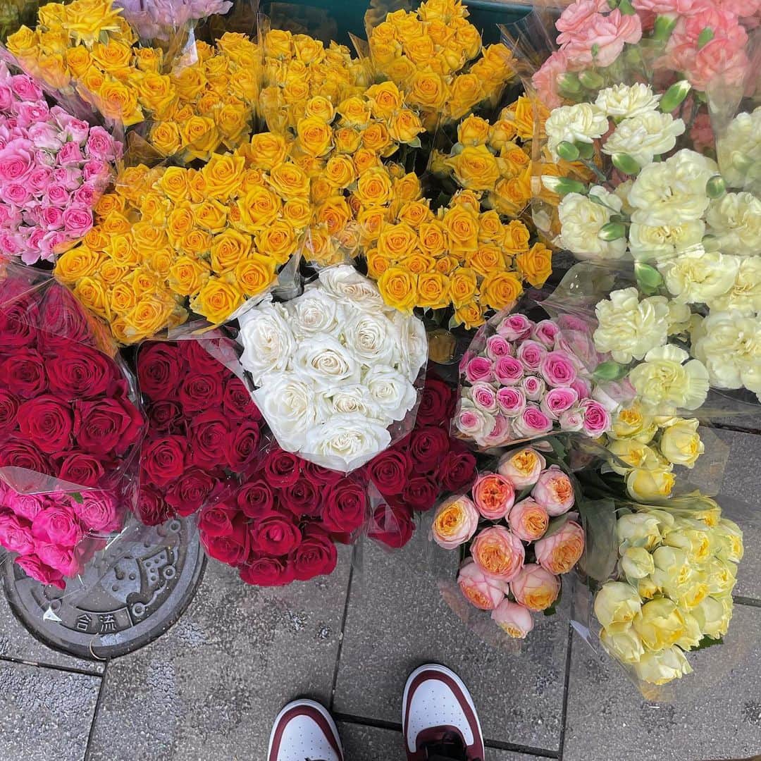 のインスタグラム：「素敵な瞬間を人生の心の中の1ページに🥀📖」