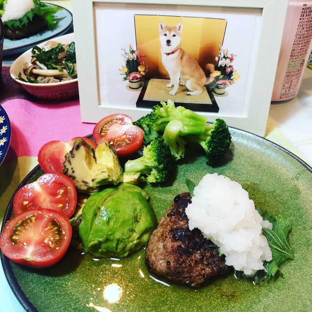 名倉右喬のインスタグラム：「♪ 6月7日は 愛犬しばたくんの 誕生日でした。  元気ならば17歳。 よく頑張ったと思います。  せめてもののお祝いで ハンバーグを作りました。 もっとも、 我々ニンゲンが 食べましたが。  先日は 俳優仲間の 松延春季さんを お迎えして バンド練習。  久しぶりにロックに まみれました。  ハゲ、元気です！」
