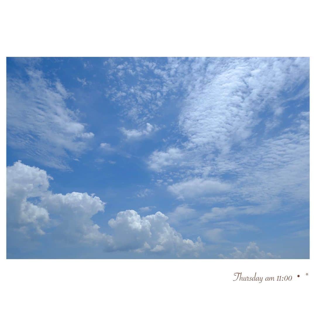 菊池真以さんのインスタグラム写真 - (菊池真以Instagram)「関東甲信も梅雨入りしました☔️🐌・°  色々な雲が出ていて空は賑やか✨✨  まだ晴れていますが天気は下り坂です. あす(金)朝にかけては、激しい雨に⚠️  #梅雨の晴れ間　#ときめく雲図鑑　📘」6月8日 11時49分 - mai_sorairo