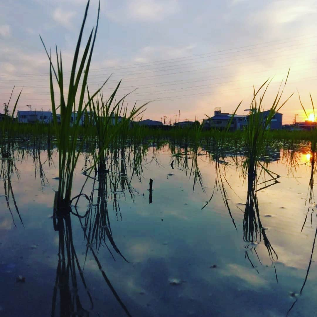 宮田麺児のインスタグラム