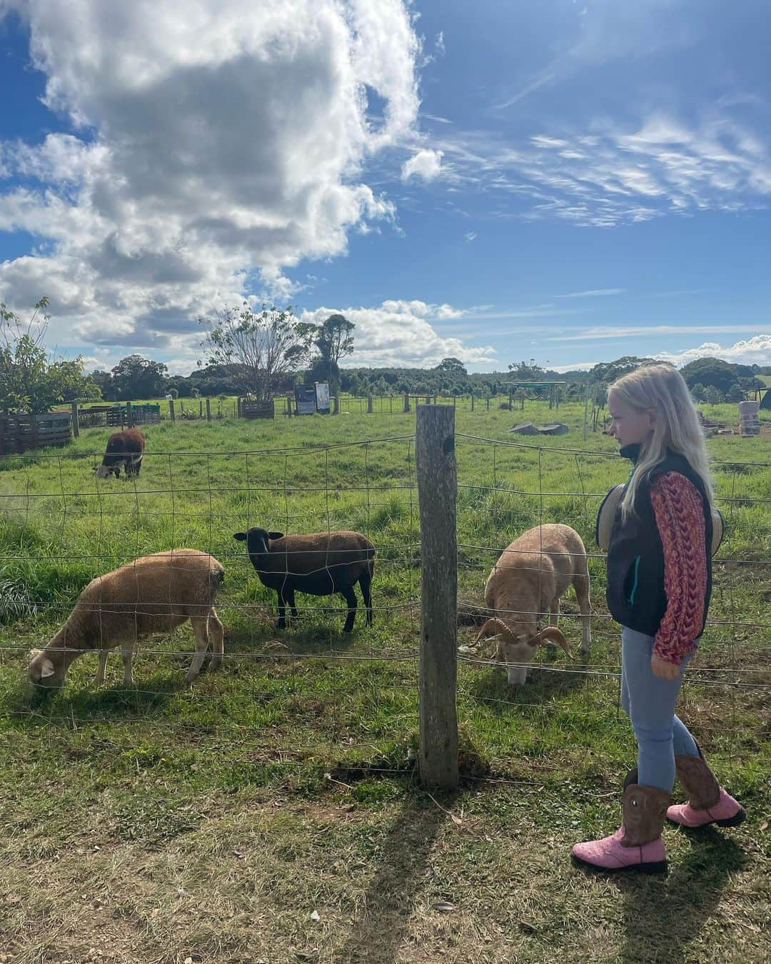 山田愛さんのインスタグラム写真 - (山田愛Instagram)「The farm life🌴 We saw mini piggies as well  #byronbay ☺️☀️ #🇦🇺」6月8日 12時43分 - aiyamada_