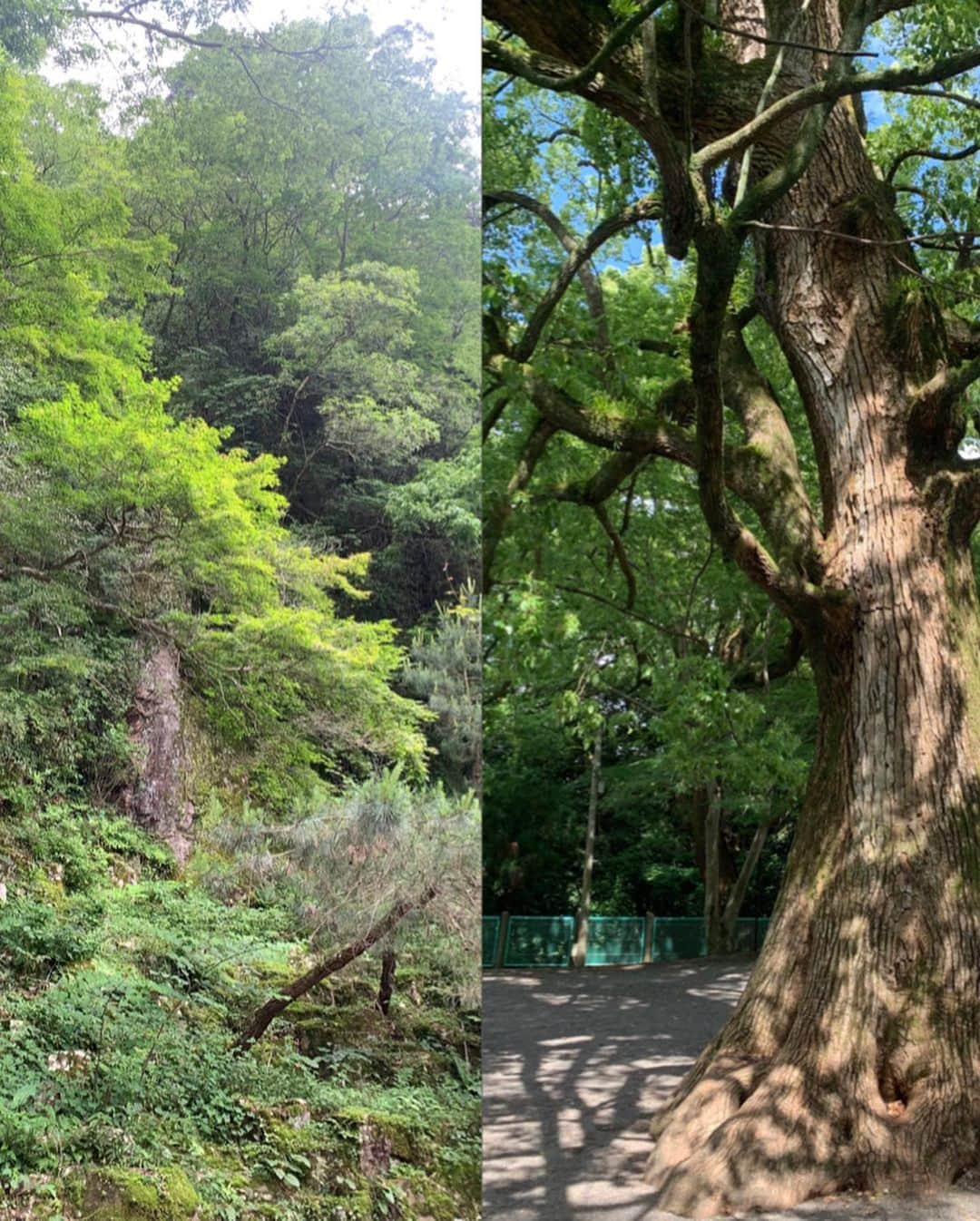 丸田陽七太さんのインスタグラム写真 - (丸田陽七太Instagram)「香川旅行  ありがとうございました！  めちゃくちゃ楽しんだぁ〜🥰  #金比羅山 #琴参閣  #レオマワールド」6月8日 12時44分 - hinatamorioka