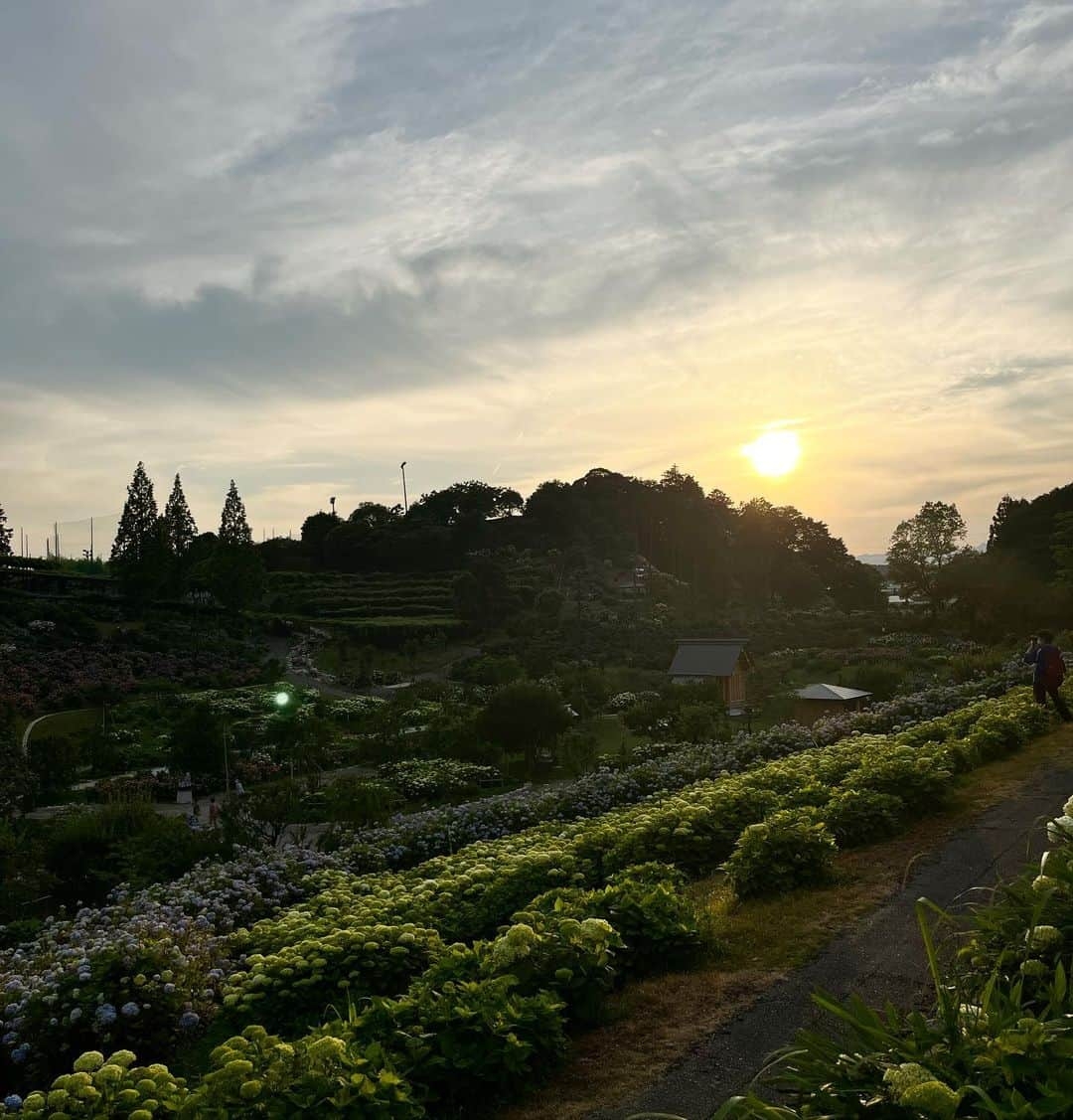 遊海 Yuumiさんのインスタグラム写真 - (遊海 YuumiInstagram)「Let the rain wash away your worries and let your spirit shine through. #InnerGlow #rainseason #japan #visitmie #loveyourself #visitjapan #紫陽花　#三重県　#津市　#womensupportingwomen」6月8日 22時57分 - yuumi_kato