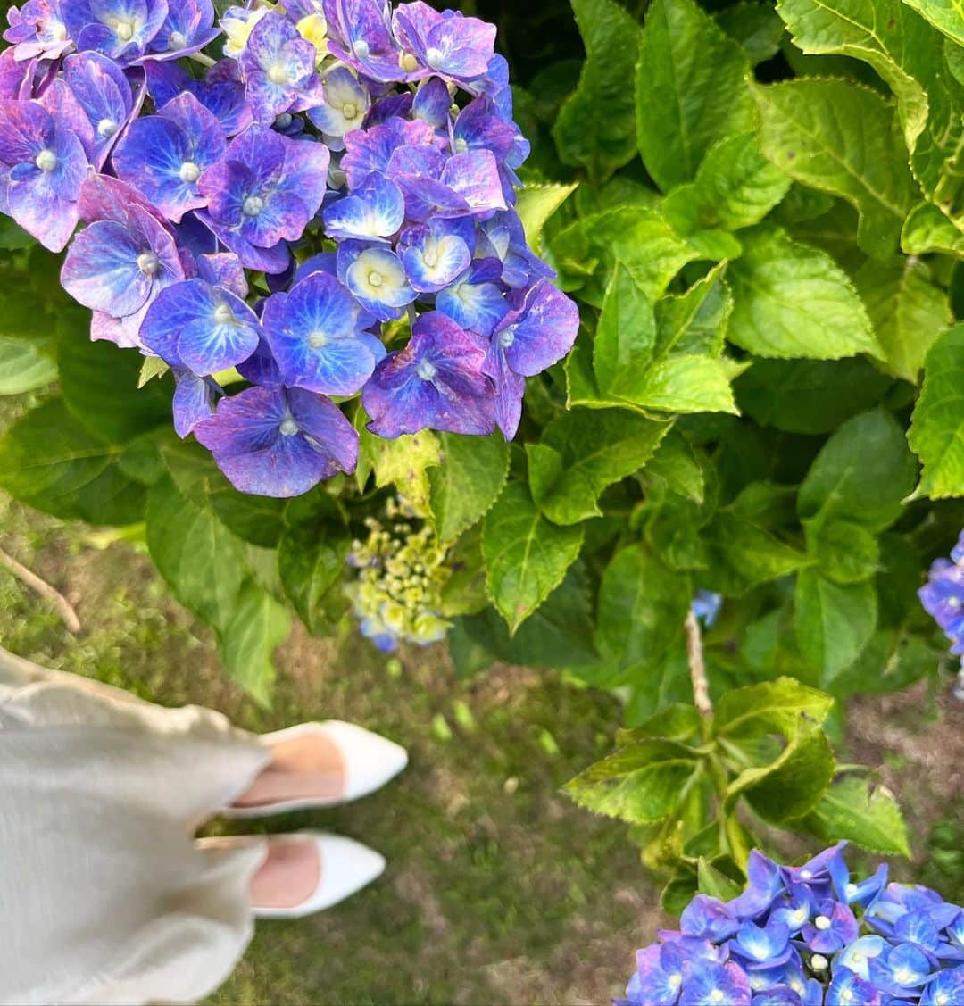 遊海 Yuumiさんのインスタグラム写真 - (遊海 YuumiInstagram)「Let the rain wash away your worries and let your spirit shine through. #InnerGlow #rainseason #japan #visitmie #loveyourself #visitjapan #紫陽花　#三重県　#津市　#womensupportingwomen」6月8日 22時57分 - yuumi_kato