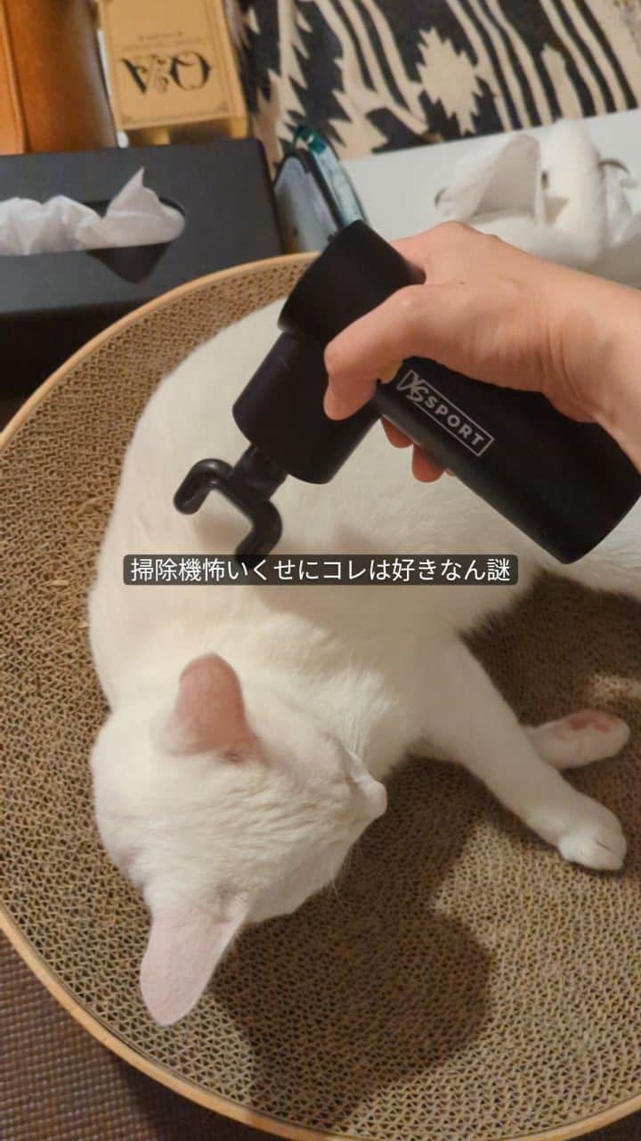 岡田屋鉄蔵のインスタグラム