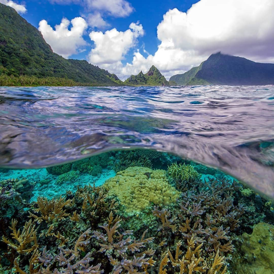 アメリカ内務省さんのインスタグラム写真 - (アメリカ内務省Instagram)「Happy World Ocean Day!   The ocean touches every aspect of our lives. It helps sustain livelihoods, influences our climate and weather patterns, boosts economies and serves as a place for exploration and recreation.   Interior is working hard to conserve and restore the health and productivity of the ocean by:   ➡️ Ensuring everyone has access to our Nation’s seashores, refuges, parks and monuments in coastal and marine environments   ➡️ Conserving 30% of our lands and waters by 2030   ➡️ Investing in a clean energy future   ➡️ Reducing plastic pollution by phasing out single-use plastic products on Interior-managed lands by 2032   Photo by NPS  #ocean #coralreef #conservation   Alt Text: A coral reef lies beneath the ocean waves and ripples as mountains stand tall on the land. Puffy white clouds hover in the sky behind the mountains.」6月8日 23時02分 - usinterior