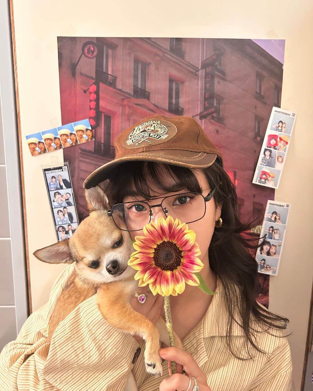長澤メイのインスタグラム：「ななえがお花くれた🥰🫰🏼💕 ありがとう🫶💕  そんな今日はななえの誕生日🎂 沖縄で素敵な誕生日を過ごしてるそう💗 帰ってきたらお祝いね🙋🏼‍♀️  phot by @nanae0608」