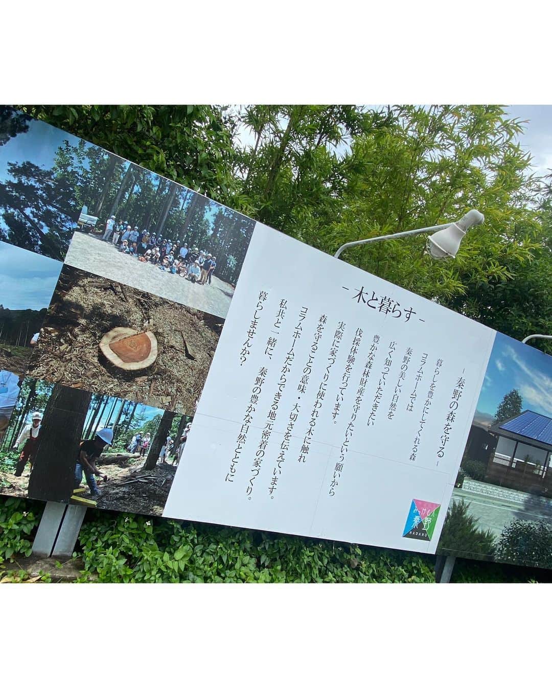 立石純子さんのインスタグラム写真 - (立石純子Instagram)「˗ˏˋ深呼吸したくなる家ˎˊ˗ 　 秦野産木材を使用し、四季を通じて自然エネルギーを積極的に取り入れる木造住宅『はだの木和美(きわみ)』。 こちらがはだのブランドにも認定されている、#コラムホーム さんへ先日お邪魔させて頂いてきました☺️ ☑︎コラムホームさんは7/1立石純子 10th Anniversary Live&Festival当日、はだのブランドFestival Boothにて 『はだの木和美』のご紹介ブースを出展してくださる予定です⋆✴︎⋆.*･ 　 　 〝秦野の美しい自然を広く知っていただきたい〟 　 豊かな森林財産を守りたいという願いから子供たちとの伐採体験されているコラムホームさん☺️　 　 HPからも詳しくご覧いただけますので よろしければぜひご覧ください⋆✴︎⋆.*･ 　 　　 お話をさせていただくために伺ったお家も、扉を開けた瞬間木材の香りに溢れるなんとも癒しに包まれた空間でした🥲🪵　やっぱり木の力、自然のパワーはすごいです😊🌿 　 #秦野 #森林 #財産 #自然 #forest #木材 #間伐材 #伐採 #home #暮らし #木造建築 #森 #myhome #深呼吸 #夢 #パワー #power #エネルギー #energy #リフォーム #wood #japantrip #japanlife #instadaily #instapic #🪵 #🌿 #🏡」6月8日 23時53分 - junkokokotateishi