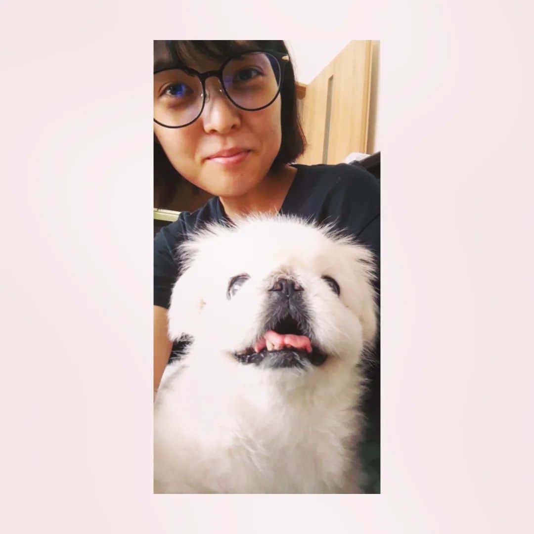 Kaedeのインスタグラム：「ゆきさん10歳になりました。 長生きするんだぞ。」