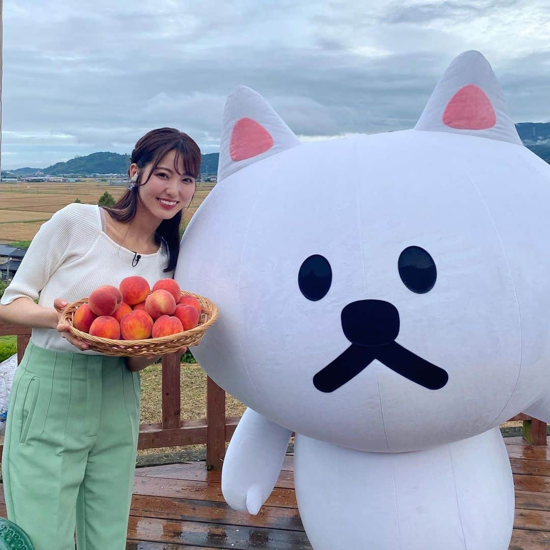 KBCテレビ「アサデス。」さんのインスタグラム写真 - (KBCテレビ「アサデス。」Instagram)「【お天気中継🍑】 先週は道の駅うきはからお天気をお伝えしました！  今旬を迎えている桃もご紹介しました！とっても美味しそうでしたね🤤明日のお天気中継もお楽しみに〜🚗」6月8日 15時45分 - asadesu_kbc