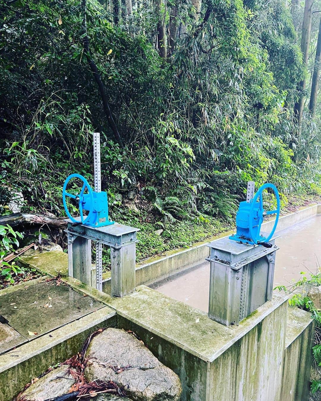 遠山正道のインスタグラム：「佐賀県#松隈小水力発電所 視察 林千晶率いるQ０のメンバーと。 地域の人達が地域の資源を活用して地域のために出来ることを自ら行っている」
