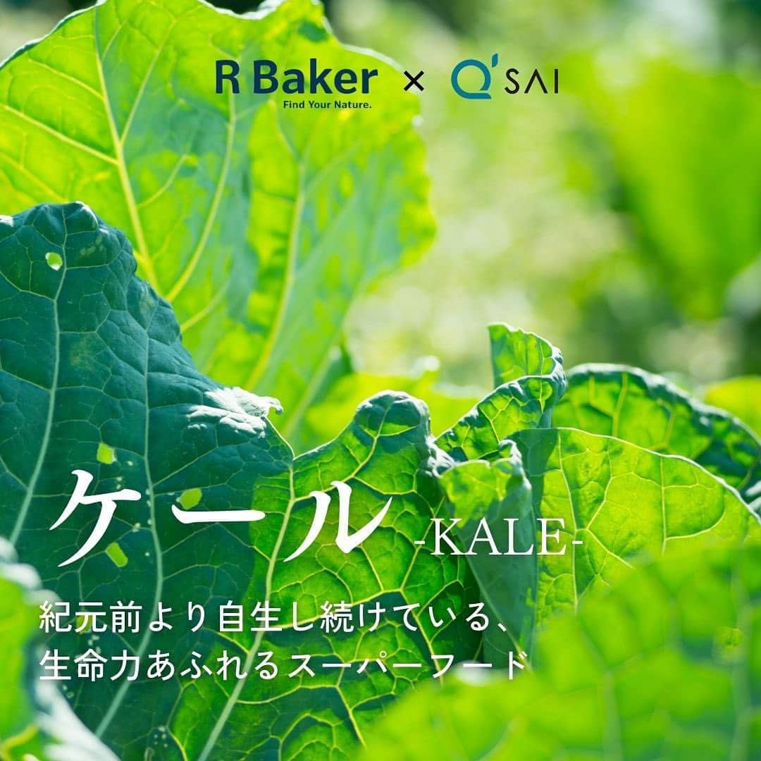 kyusai_kale_officialのインスタグラム：「ケールについて知れた！という方は「🥬」でコメントしてね！  「からだに美味しいパン」をお届けする R Baker (@r_baker_official)と、 長年ケールの魅力を伝えてきた キューサイ(@kyusai_kale_official）がコラボ！  まだまだ知られていない野菜「ケール」ですが、 ケールには、語りつくせないほどの魅力があるんです！ このコラボを機会に、もっとケールに興味を持っていただき、 日々の生活に取り入れていただけると嬉しいです✨ --------------------------------------------------- #キューサイ #qsai #ケール #ケールワーク #ザケール #スーパーフード#ウェルエイジング #野菜不足 #美容と健康 #野菜 #アールベイカー #rbaker #パン屋 #パン活 #パン好きさんと繋がりたい ＃モーニング #大阪城カフェ #森ノ宮パン #武蔵小杉モーニング #武蔵小杉カフェ #武蔵小杉パン #聖蹟桜ヶ丘カフェ #聖蹟桜ヶ丘パン ＃立川モーニング #立川カフェ #立川パン #パンスタグラム#パン好き#パン屋さん #米粉パン」