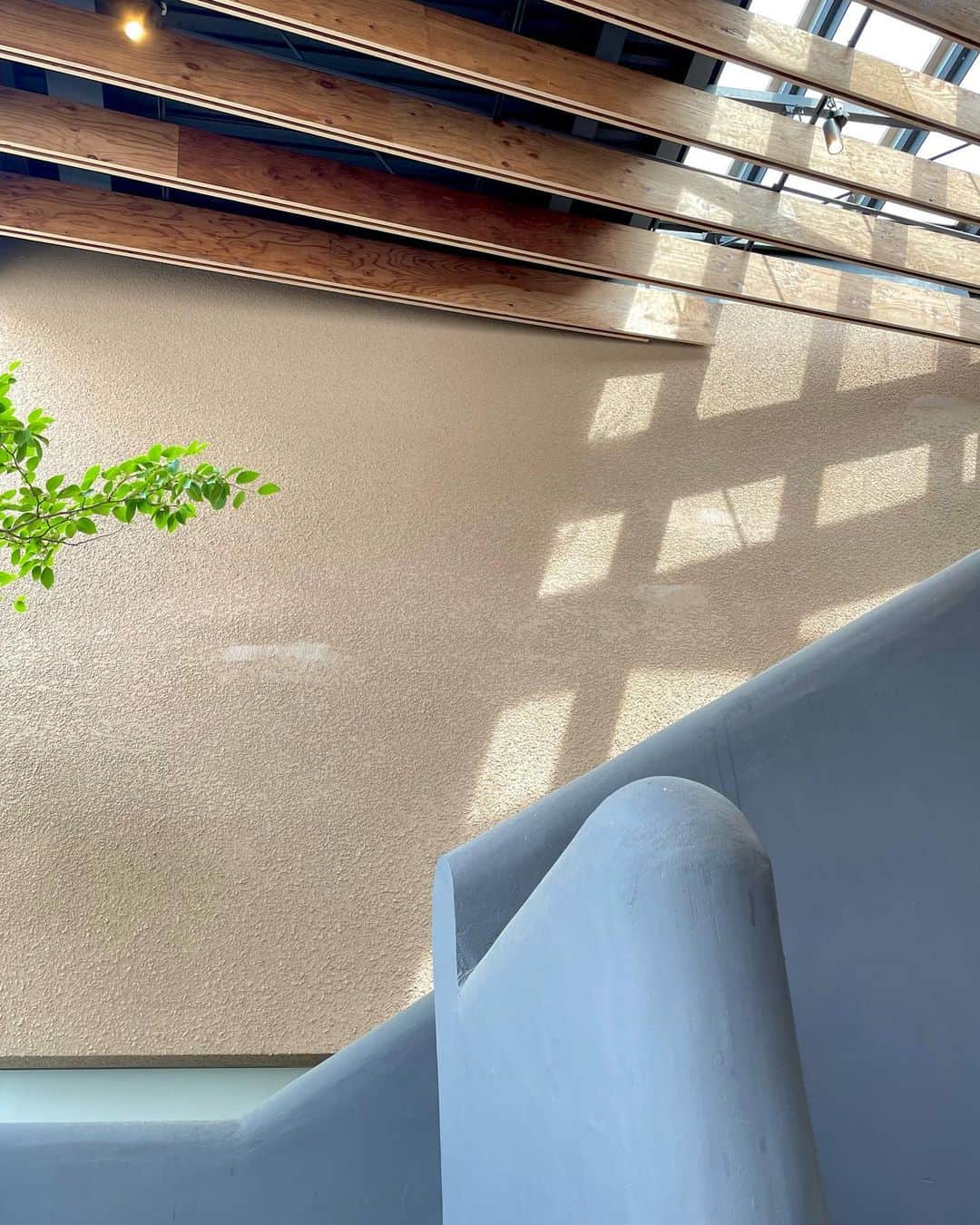 志乃のグルメインスタ