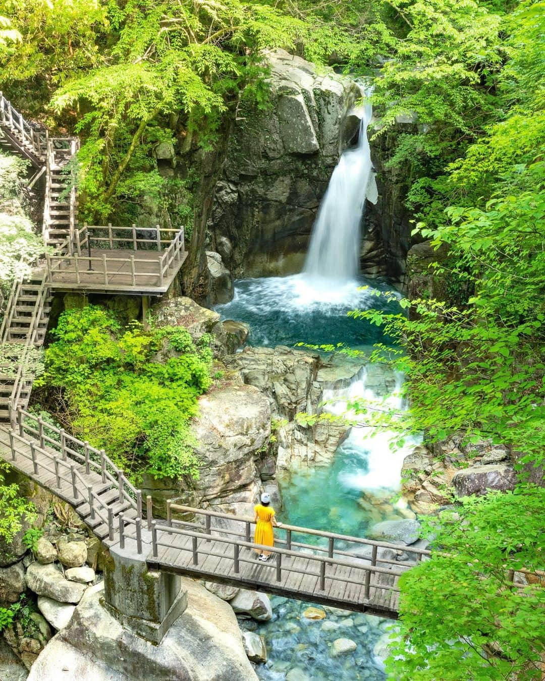 詩歩のインスタグラム：「📷 17th May 2023 📍岐阜県  夕森渓谷  竜神の滝 /  Yuumori Gorge Ryujin waterfall, Gifu Japan   一度来てみたかった岐阜県にある #竜神の滝 。１日に７回色を変え、白龍が住むという伝説があります。  中津川市の #夕森渓谷 にあって、意外と駐車場から気軽に歩いて来ることができます。この日はちょうど新緑がきれいな時期で、滝壺のコバルトブルーの色とあいまって清々しい気持ちになりました。  この滝を以前見つけたときに、滝はもちろんだけどこの立体的な遊歩道がいいなあと思って！実際に歩いていると水しぶきがすごくかかるんだけどね。笑　　それにしても、日本全国に”竜神の滝”っていう滝、ありそうだな。  岐阜県の投稿はこのタグでまとめています / Posts of this area can be found in this tag.→ #shiho_gifu   I visited #RyujinnoTaki Falls in Gifu Prefecture, which changes color 7 times a day and is said to be inhabited by a white dragon.  It is located in Yumori Valley in Gifu Japan, and surprisingly, it is an easy walk from the parking lot. On this day, the fresh green was just beautiful, and combined with the cobalt blue color of the waterfall basin, I felt refreshed.  When I first came across this waterfall, I was impressed not only by the waterfall but also by the three-dimensional promenade! I was actually splashing a lot when I walked along it, though.   ©︎Shiho/詩歩」
