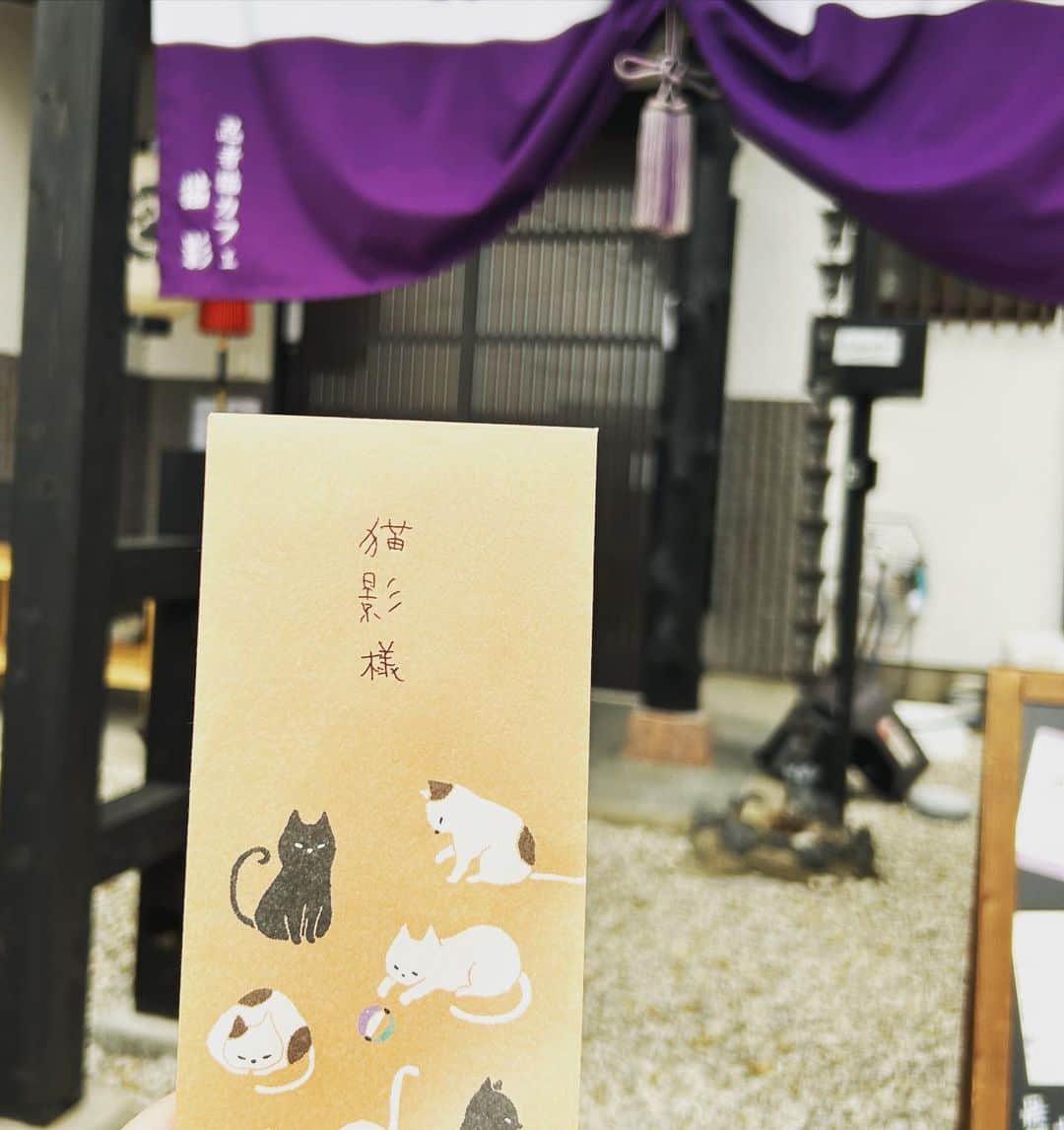 マリ卍さんのインスタグラム写真 - (マリ卍Instagram)「皆様からお預かりした #猫ちゃん募金 (4･5月分計20000円)は、本日無事に『忍者猫カフェ猫影』様にお届けしました🐈❤️ 新入りさんの千代ちゃんはたくさんペロペロしてくれた〜🥹💗 うちの子達しないから嬉しかった。  皆様ご協力ありがとうございました。  @nekokage_gifu   ちなみに、この活動を始めようと思った経緯は長すぎて載せれませんが 5周年の時のパンフレットには書いてありますが、今の私があるのは むぅといなりのおかげだからです\( ¨̮ )/ 自分と向き合うきっかけをくれたのがうちのチビ達！ たくさんの猫ちゃん達が良きご縁に繋がりますように！  #ねこ #猫 #保護猫 #岐阜県 #岐阜市 #柳ケ瀬 #柳ケ瀬プロレス #Ladius #joshipuroresu #prowrestler #followme #joshipuro #prowrestling #wrestling #wrestler #女子プロレス #プロレス #猫影 #忍者ねこカフェ猫影 #忍者ねこカフェ」6月8日 18時23分 - manji_0415