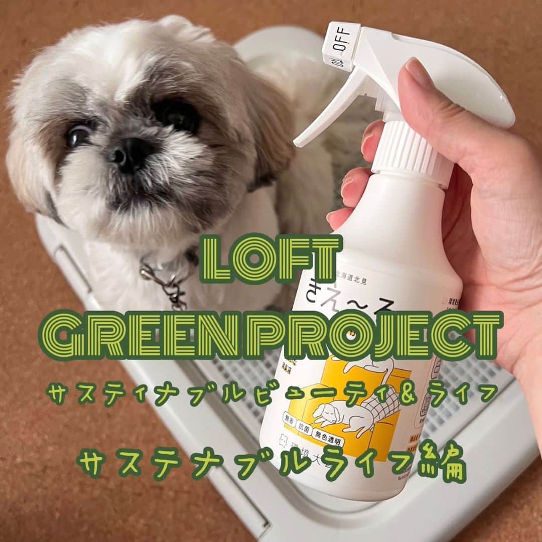 nanaのインスタグラム：「『#ロフトグリーンプロジェクト 』に 参加してきたー🌏 ㅤ このイベント、 LOFTで取り扱われてる 様々なサスティナブルな商品を たくさん知る事できるから すごく良い✨ 地球にも生き物にも優しい雑貨やコスメ、 どんどん増えてきていて、 我が家もどんどん取り入れていきたいなって思った🥰 ㅤ 特にお勧めなのが、 @kankyo_daizen の『きえ〜る』 前回のイベントの時に初めて出会ってから ペット用使わせてもらってるんやけども とにかく良い‼︎‼︎ 環境にも配慮されてる上に ペットにも優しくて、人にも優しい‼︎ ぽた丸が舐めても安全なのがいちばん嬉しい😊 そして、ほんまに臭いが…きえ〜る😍✨ うちは特に、ぽた丸のトイレ後にトレーにシュッとしてるけど 見事にきえ〜る✨ 我が家には欠かせないアイテム🥰🫶🏻 詳しくはアカウント見てみてな😄 👉🏻 @kankyo_daizen  本気で推せるから✨ ㅤ ㅤ @saorioyamada さんのトークショーでは 小山田さんがMAWAハンガーとコラボして作られた スタイリングハンガーがすごく良かった😍 セットアップが1本で掛けられるものは MAWAハンガーではなかったからこれは欲しい✨ ちなみに我が家のハンガーは全部MAWAハンガーで揃えてる✌🏻  ㅤ 前回、自分のお箸をオーク材で作らせてもらった @hashi_kura さんで、今回は👨🏻のお箸作ってきた🥢 ㅤ  他にも良い物たくさんあり過ぎて 書ききれない🥹  ㅤ そして、全国のLOFTでは、 「ロフト グリーンプロジェクト」が展開されてて 使用済み容器の回収とかやってるねん✨ ㅤ ㅤ 例えば　@pilot_corporation さんでは 使用済み文房具のプラスチックを再利用して また新しいボールペンや文房具が作られてる🫶🏻 知ってた？🥰 ㅤ ㅤ LOFT行ったらチェックしてみてな😄 ㅤ ㅤ ㅤ ㅤ @loft_official @loft_cosme  #ロフト展示会 #ロフトコスメ#サスティナブル #サステナブルビューティー #PR #丁寧な暮らし #暮らしを整える #暮らしの道具 #地球に優しい #ペットと暮らす家 #ペットと暮らす #犬のいる暮らし #消臭スプレー」