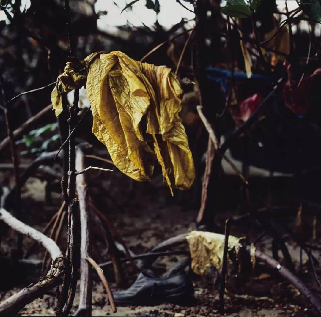 テート・ギャラリーさんのインスタグラム写真 - (テート・ギャラリーInstagram)「From large cargo ships to plastic wrapped around branches, the photographs in Simryn Gill's series 'Channel' show evidence of sea pollution in Port Dickson, Malaysia—Gill’s hometown. Colourful plastic bags and other rubbish have washed up with the tides, getting stuck in trees and roots, and hanging almost like clothes on a washing line. It can be hard to distinguish the waste among the plants. The contamination of the mangrove forest by plastic waste encourages us to think about the complex and difficult relationship between humankind and the environment. 🌍  🌊 On #WorldOceansDay we're sharing our commitment to raising awareness of the #ClimateEmergency through our programme and within our walls, responding to and amplifying the concerns of artists around the world. Click the link in our bio to read all about our ongoing work to reduce our carbon footprint, protect the environment and shape international green museum principles. 💚  'Art is always about reappraising the way we look at the world. It can speak more eloquently than propaganda because it can inject emotion into facts. And sometimes it can work like a Stealth Bomber: it can slip under the radar and hit home.' – @CorneliaParkerArtist  📷 Simryn Gill, Channel #21, Channel #19, Channel #11, Channel #23, Channel #21 and Channel #28 2014.  #ClimateChange #ArtforaHealthyPlanet #ArtforGlobalGoals」6月8日 18時36分 - tate