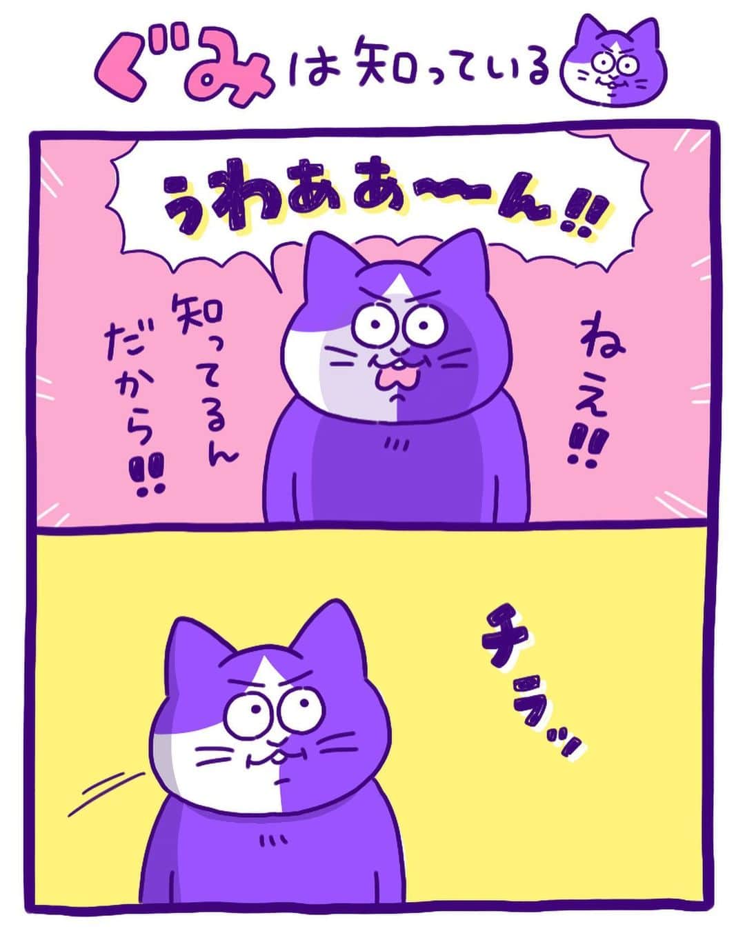 澤村 花菜のインスタグラム：「ぐみは冷蔵庫に食べかけのちゅ〜るビッツが入ってることをちゃんと知っている(そして毎日それを指摘してくる)  #ぐみごまのまんが  #イラスト #猫 #猫漫画 #ねこのいる生活 #illustration #comics」
