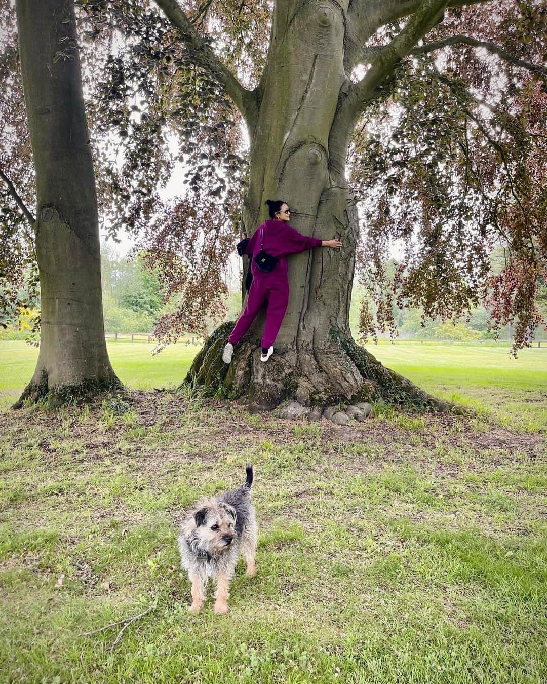 冨永愛さんのインスタグラム写真 - (冨永愛Instagram)「⁡ イギリス・ケンブリッジに来てます ついて早々素敵なブナの大木と可愛いワンチャンに出会いました ⁡ #Cambridge 🇬🇧 #dojimasakebrewery」6月8日 18時49分 - ai_tominaga_official