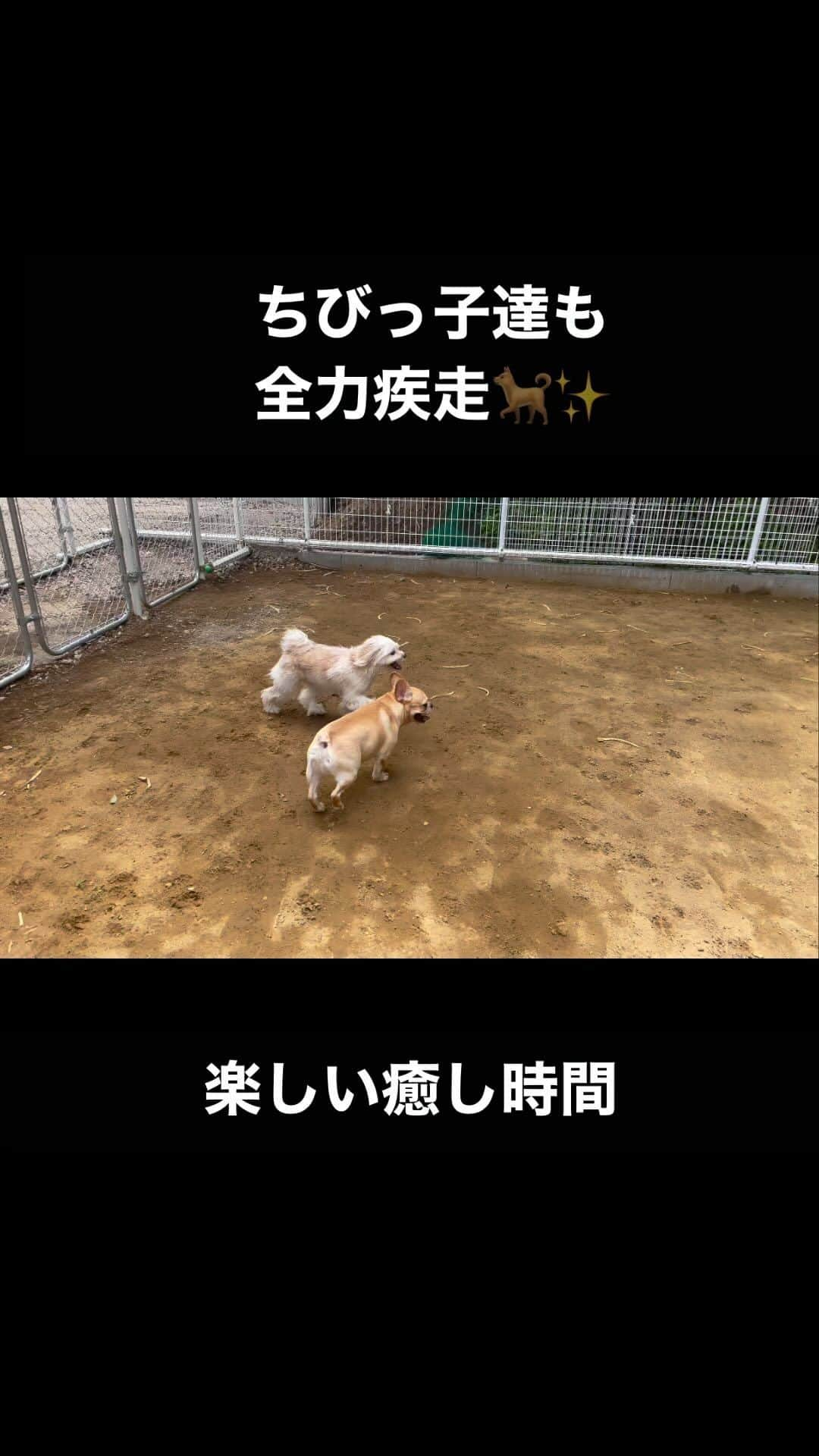 長与千種のインスタグラム