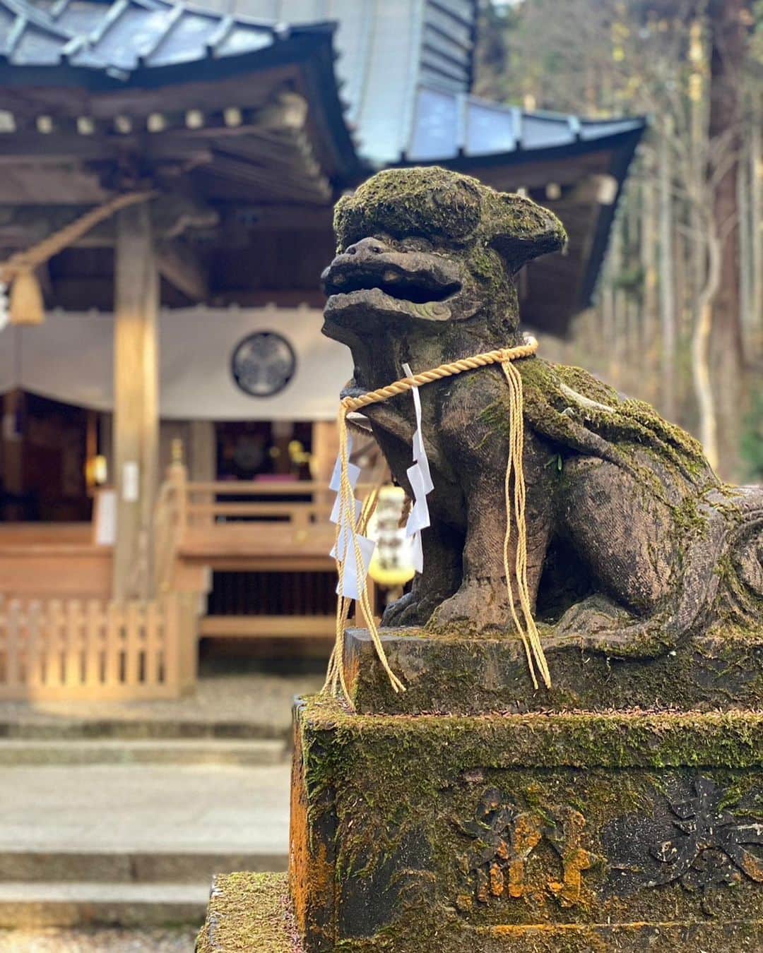 金ケ江悦子さんのインスタグラム写真 - (金ケ江悦子Instagram)「* 日立にある “御岩神社”⛩️  日本で最も多くの神様が祀られると言われている場所。  山頂までは40分くらいかな⛰️  コケが まぁなんと美しいこと。  “綺麗さび”の世界でした😌  #美旅  #人生の美意識を高める  #時を重ねた美  #意思ある美しさ  #美を紡ぐ   #日立 #神社巡り #神社⛩ #御岩神社 #御岩神社パワースポット #日本のパワースポット #日本の美 #日本の美しい風景  #美意識を高める #美意識を高める旅 #ウェルビーイング #ウェルビーイングな生き方 #ウェルビーイングライフ #美と教育 #心地よく生きる #日本の神社 #おすすめ神社 #人生の楽しみ方 #美しく生きる #美しく心地よく生きる」6月8日 19時17分 - etsuko_kanagae