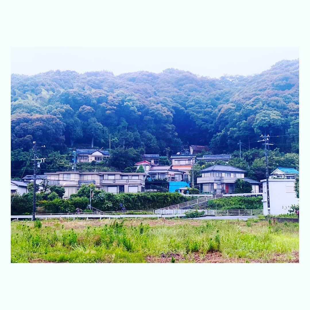 上坂嵩さんのインスタグラム写真 - (上坂嵩Instagram)「土砂災害に警戒を⚠️ . 今日は、先日の大雨で土砂崩れが発生した #豊川市 #御津町 を取材。 現場の様子や地域の声をお伝えしました。 . 先週の雨で土砂が流れ込んだ道路は、 近隣住民やボランティアの協力によって 堆積していた土砂は片付けられていました。 . しかし、土砂崩れで倒壊した住宅は 瓦などがいつ落ちてきてもおかしくない状況。 . 住んでいた方は、倒壊前に避難して無事で、 市内の親族の家に身を寄せているそうです。 . 発災時の状況を伺うと 「当初は、避難を躊躇っていた。 　ただこれまでの大雨とは異なる茶色く濁った水が 　川のように流れているのを見て避難しようと思った。 　もし判断が遅れていたら、私たちの命はなかった。」 と話していました。 . 先週の大雨で地盤が緩んでいる所では 少しの雨でも土砂災害が発生する恐れがあります。 . 雨脚が強まるのは、このあと深夜から未明です。 今後の情報に十分注意してください。 . . #災害 #防災 #減災 #大雨 #台風 #梅雨 #土砂災害 #土砂崩れ  #メーテレ #アップ #アナウンサー #フィールドキャスター #ニュースワード #SDGsビジネスマスター #上坂嵩」6月8日 19時29分 - takashi_uesaka_nbn